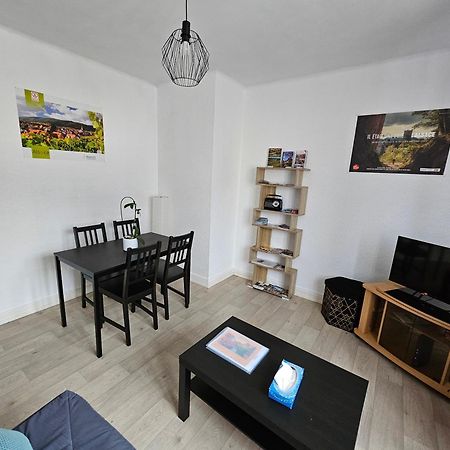 Apartamento Le Nid Des Cigognes A Colmar Centre, Proche Gare, Marches De Noel Exterior foto